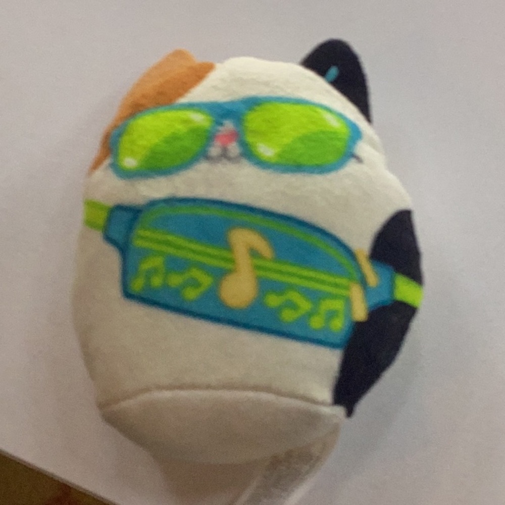 Cam the squishmallow